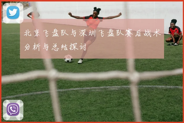 北京飞盘队与深圳飞盘队赛后战术分析与总结探讨