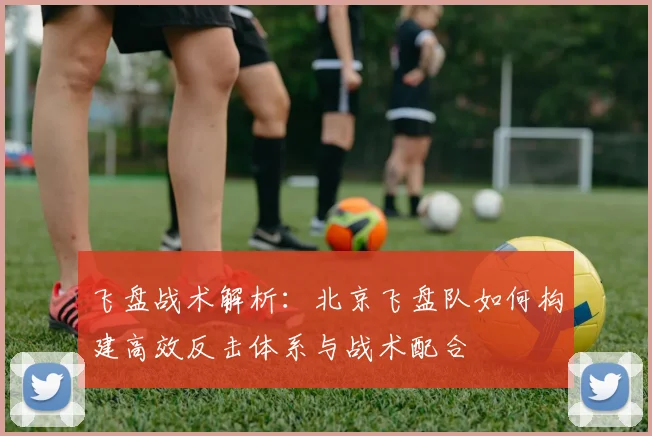 飞盘战术解析：北京飞盘队如何构建高效反击体系与战术配合