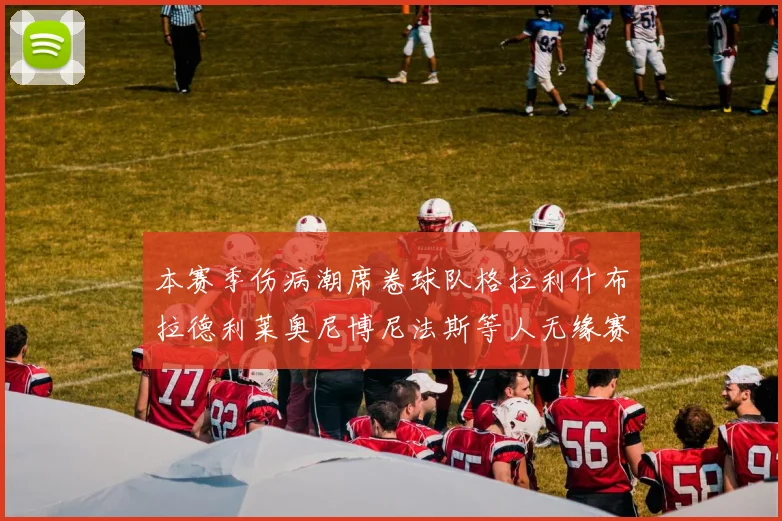 本赛季伤病潮席卷球队格拉利什布拉德利莱奥尼博尼法斯等人无缘赛季余下比赛